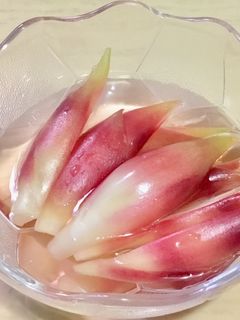 簡単! 茗荷の甘酢漬け(らっきょう酢)-レシピのメイン写真
