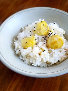 秋の味覚 ホクホク 栗の炊き込みご飯-レシピのメイン写真
