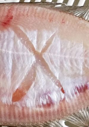 実録！自家製カレイの干物-レシピのメイン写真