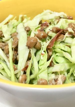 ご飯前に必ず食べよう！ダイエットサラダ♡-レシピのメイン写真