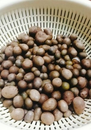 むかご塩茹で-レシピのメイン写真