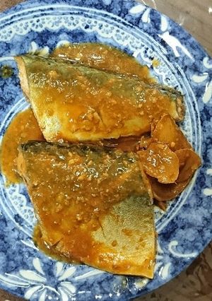 サバの味噌煮-レシピのメイン写真