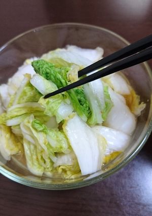 白菜の簡単浅漬け♪-レシピのメイン写真