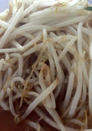 もやし ナムル 簡単 保存可能 一品-レシピのメイン写真