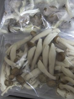 休日の下ごしらえ キノコ-レシピのメイン写真