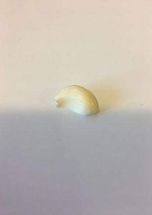 一番簡単！ニンニクの皮むき-レシピのメイン写真