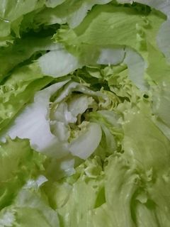レタスの保存(*´╰╯`๓)♬-レシピのメイン写真