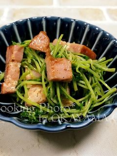 豆苗とベーコンの塩バター炒め-レシピのメイン写真