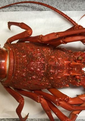 伊勢えびの超簡単な蒸し方と贅沢なお椀-レシピのメイン写真