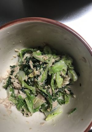 白菜とほうれん草のツナあえ-レシピのメイン写真