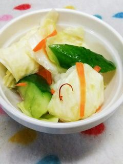 リンゴジュースで作る浅漬け-レシピのメイン写真