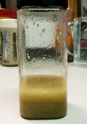 チャンポン屋さんの柚子胡椒ドレッシング-レシピのメイン写真