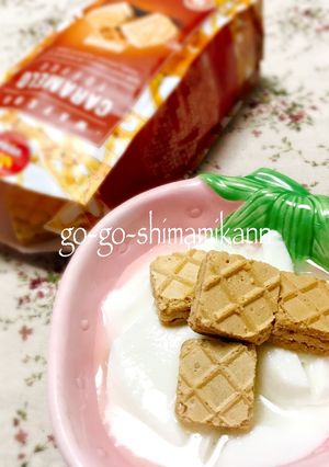 ウェハースヨーグルト-レシピのメイン写真