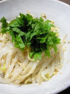 さっぱり☆もやしのゴマあえ-レシピのメイン写真