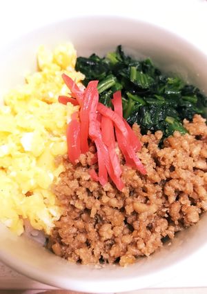 ☆ほっこり美味しいそぼろ丼☆-レシピのメイン写真