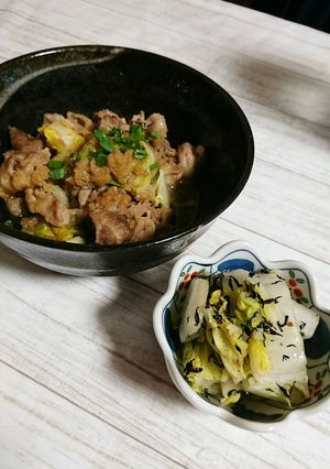 白菜で簡単レシピ2品☆-レシピのメイン写真