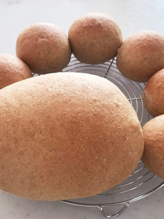 やわらか♪全粒粉パン-レシピのメイン写真