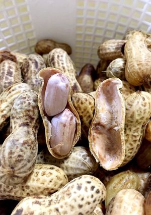 生落花生の茹で方-レシピのメイン写真