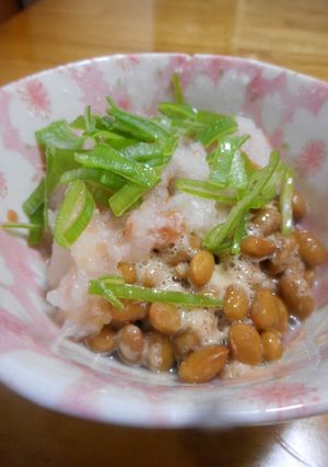 納豆梅おろし-レシピのメイン写真