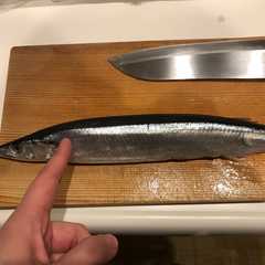 รูปของ 【メモ】秋刀魚の内臓取り