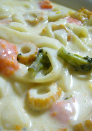 残りのシチューdeうどん♪-レシピのメイン写真