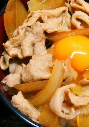 正統派☆つゆだく豚丼☆☆☆-レシピのメイン写真