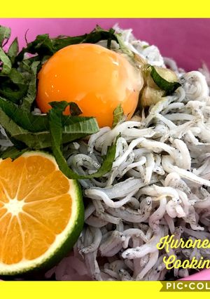釜揚げシラス丼☆-レシピのメイン写真