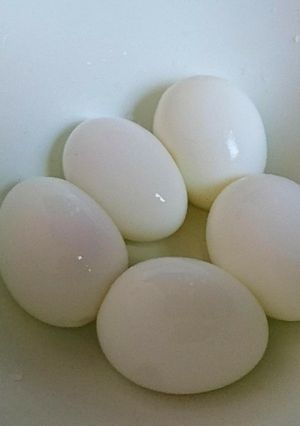 ワンダーシェフでゆで卵-レシピのメイン写真