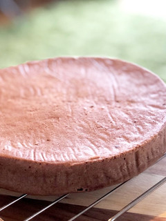 スポンジケーキ(ショコラ)-レシピのメイン写真