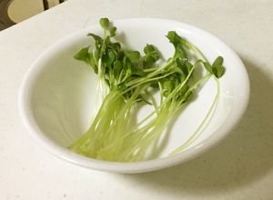 カイワレの種☆元気に振って☆100%落る-レシピのメイン写真