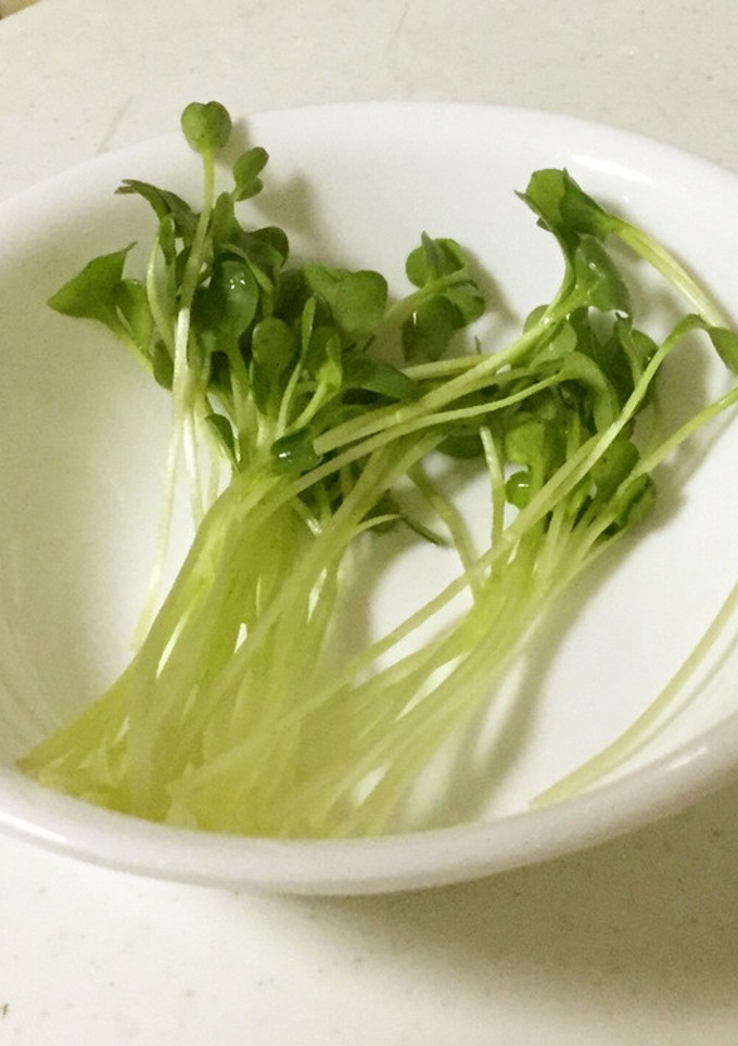 カイワレの種☆元気に振って☆100%落る-レシピのメイン写真