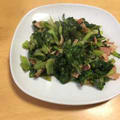 チンゲンサイの間引き菜とベーコンの炒め物-レシピのメイン写真