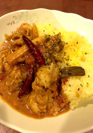 インド風〜スパイシー・チキンカレー-レシピのメイン写真