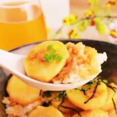 山芋丼-レシピのメイン写真