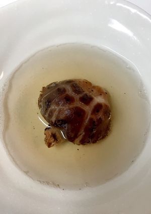 超時短☆干し椎茸の戻し方-レシピのメイン写真