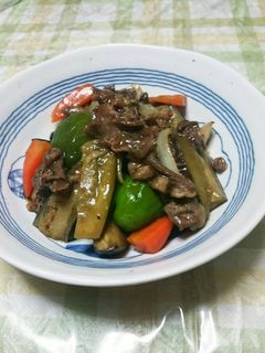 なすと牛肉♪焼肉のたれで中華炒め☆-レシピのメイン写真