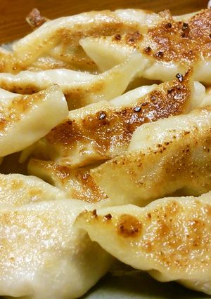 ネギたっぷり餃子♪-レシピのメイン写真
