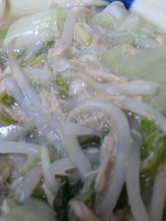 白菜ともやしのツナ炒め-レシピのメイン写真