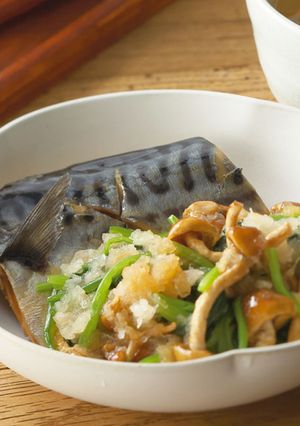 さばのおろし煮-レシピのメイン写真