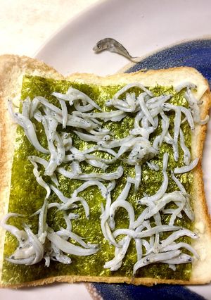 のり風味♪ シラスとチーズのホットサンド-レシピのメイン写真