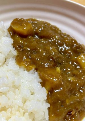 玉ねぎとじゃがいもだけのカレーライス-レシピのメイン写真