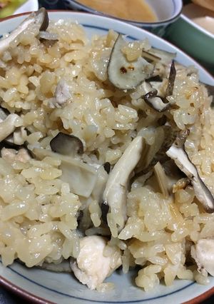 【秋のごはん】鶏きのこ飯②-レシピのメイン写真