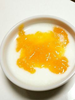 離乳食☆ヨーグルトの柿ソースかけ-レシピのメイン写真