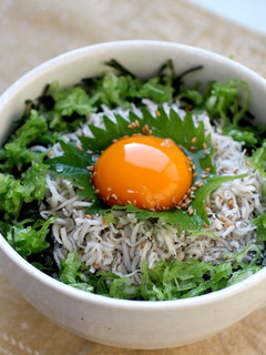 シラス大地丼-レシピのメイン写真