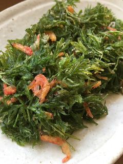 にんじんの葉と干しエビのかきあげ-レシピのメイン写真