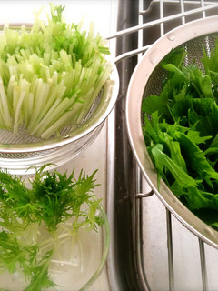 水菜の保存-レシピのメイン写真