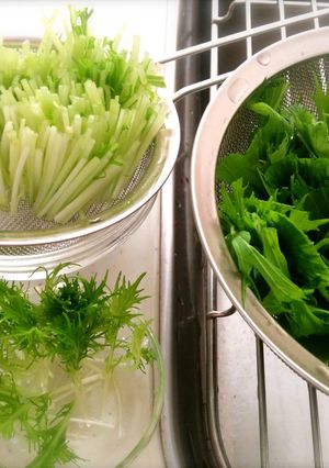 水菜の保存-レシピのメイン写真