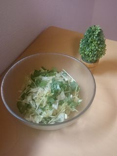 キャベツと三つ葉の塩ナムル☆-レシピのメイン写真