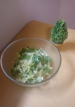 キャベツと三つ葉の塩ナムル☆-レシピのメイン写真