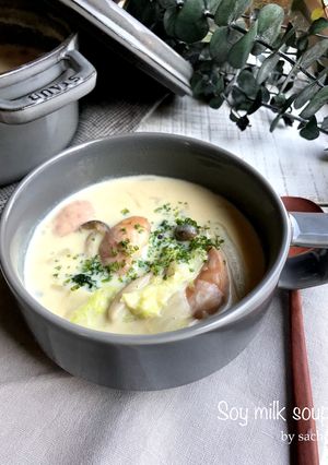 白菜とウインナーの豆乳スープ-レシピのメイン写真